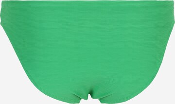 Lindex Spodní díl plavek 'Bella' – zelená