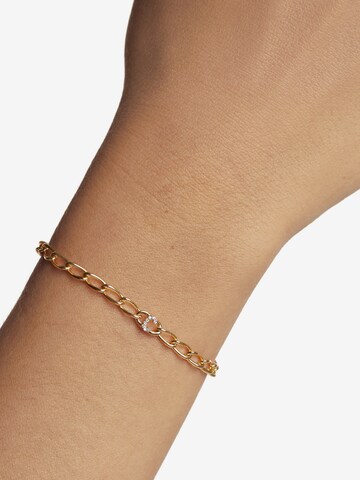 P D PAOLA Bracelet in Gold: front