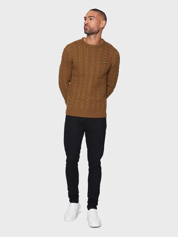 Threadbare Sweater 'Ely' in Brown
