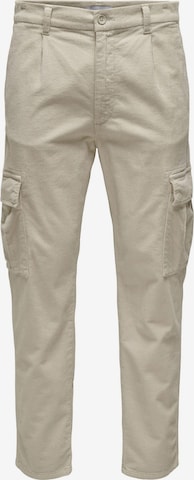 Only & Sons - Tapered Pantalón cargo 'ONSLou' en gris: frente