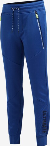 WE Fashion Tapered Pants in Blue