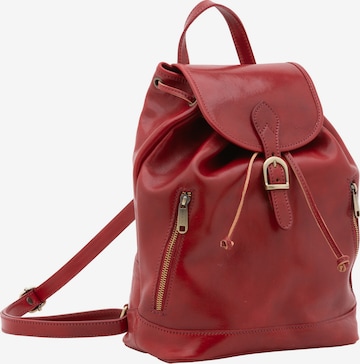 Viola Castellani Rucksack in Rot: Vorderseite