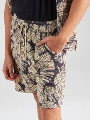 Iriedaily Regular Shorts 'Bananos' in Grau