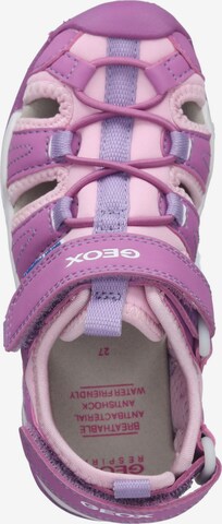 Sandales GEOX en violet