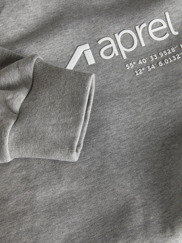 aprel Sweatshirt in Grijs