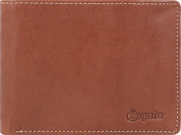 Esquire Wallet 'Denver' in Brown: front