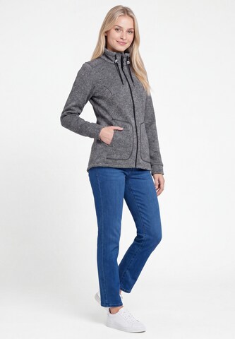 Veste en polaire Schmuddelwedda en gris