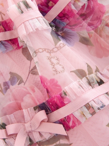 Baker by Ted Baker Jurk in Roze