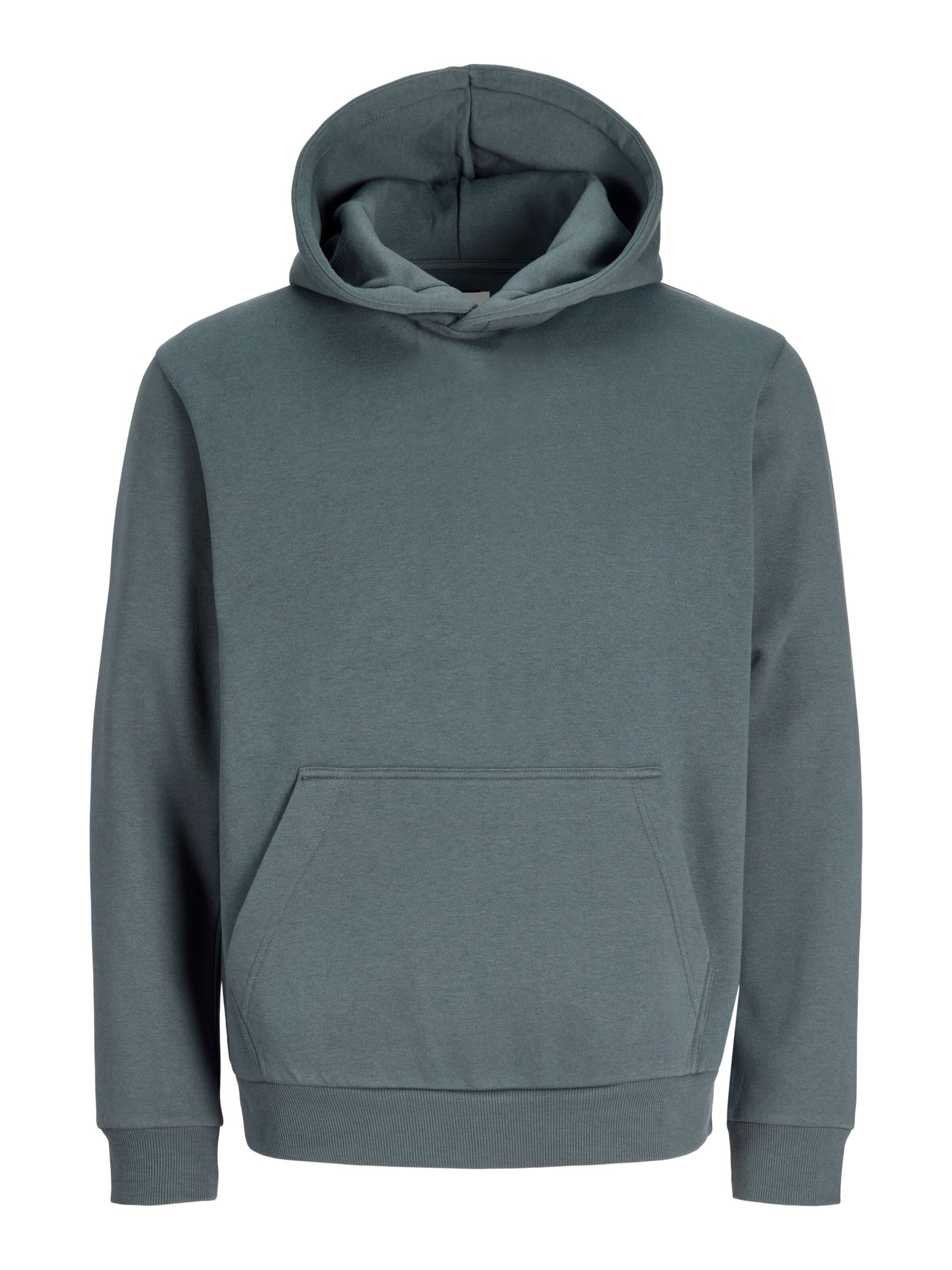 Sweat 'JJEBradley' Jack & Jones Junior en gris : devant