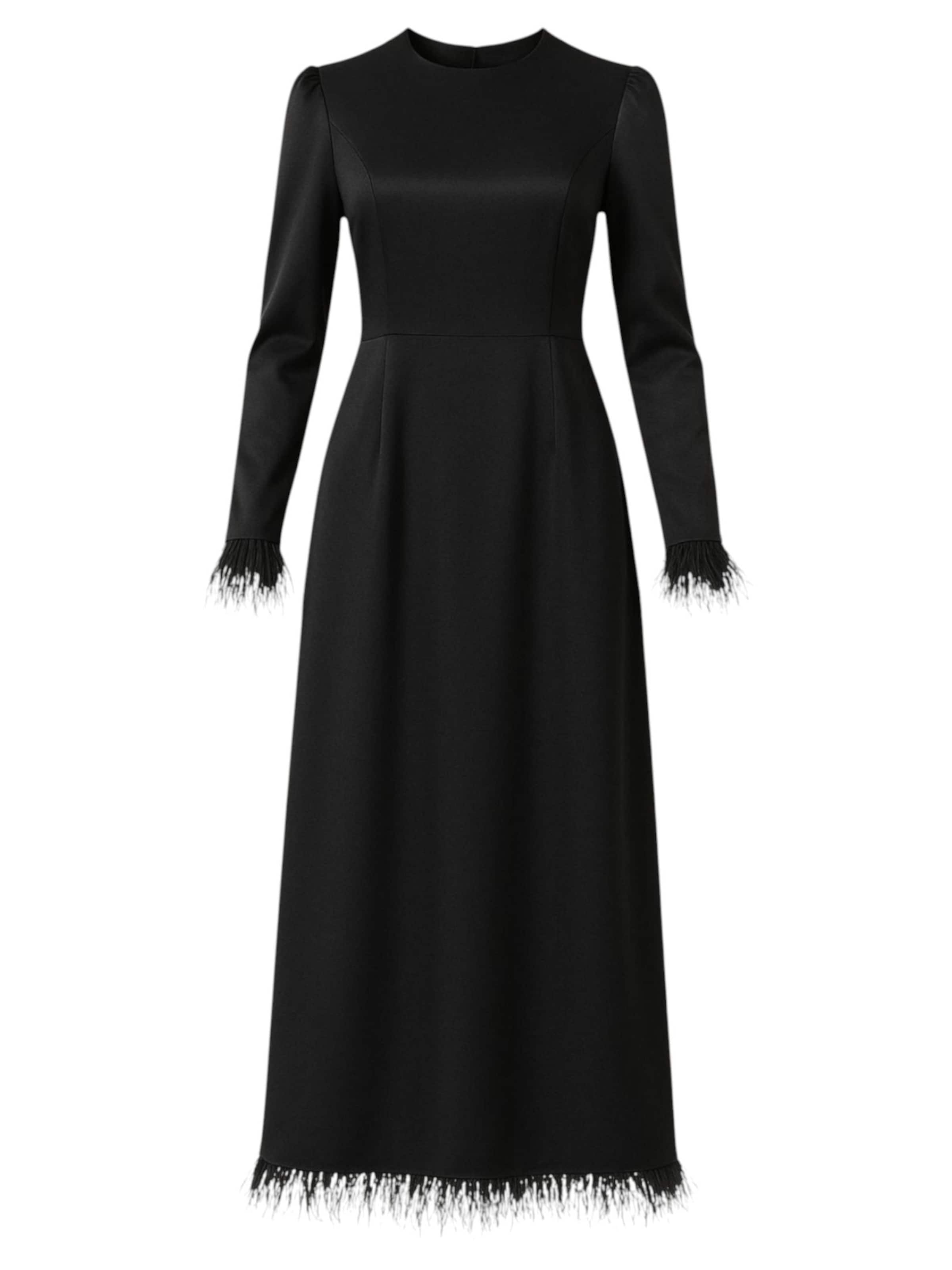 fashionshowcase Evening Dress 'Feather Grace' in Black, Item view