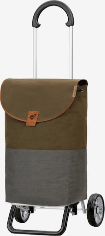 Trolley 'Scala Plus Priya' di Andersen Shopper in verde: frontale