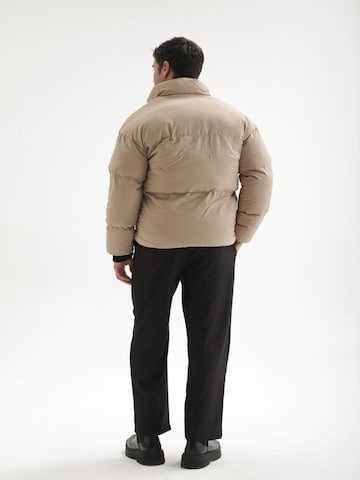 Veste d’hiver Antioch en beige