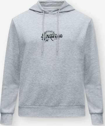 JJ Rebel - Sudadera 'JREBIVAN' en gris: frente