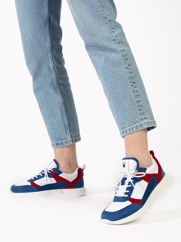 Sneaker bassa di Spyder in blu: frontale