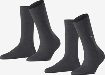 BURLINGTON Socks 'Everyday' in Grey: front