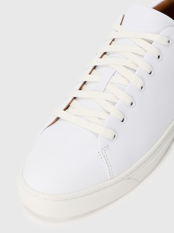 TIMBERLAND Nizke superge | bela barva