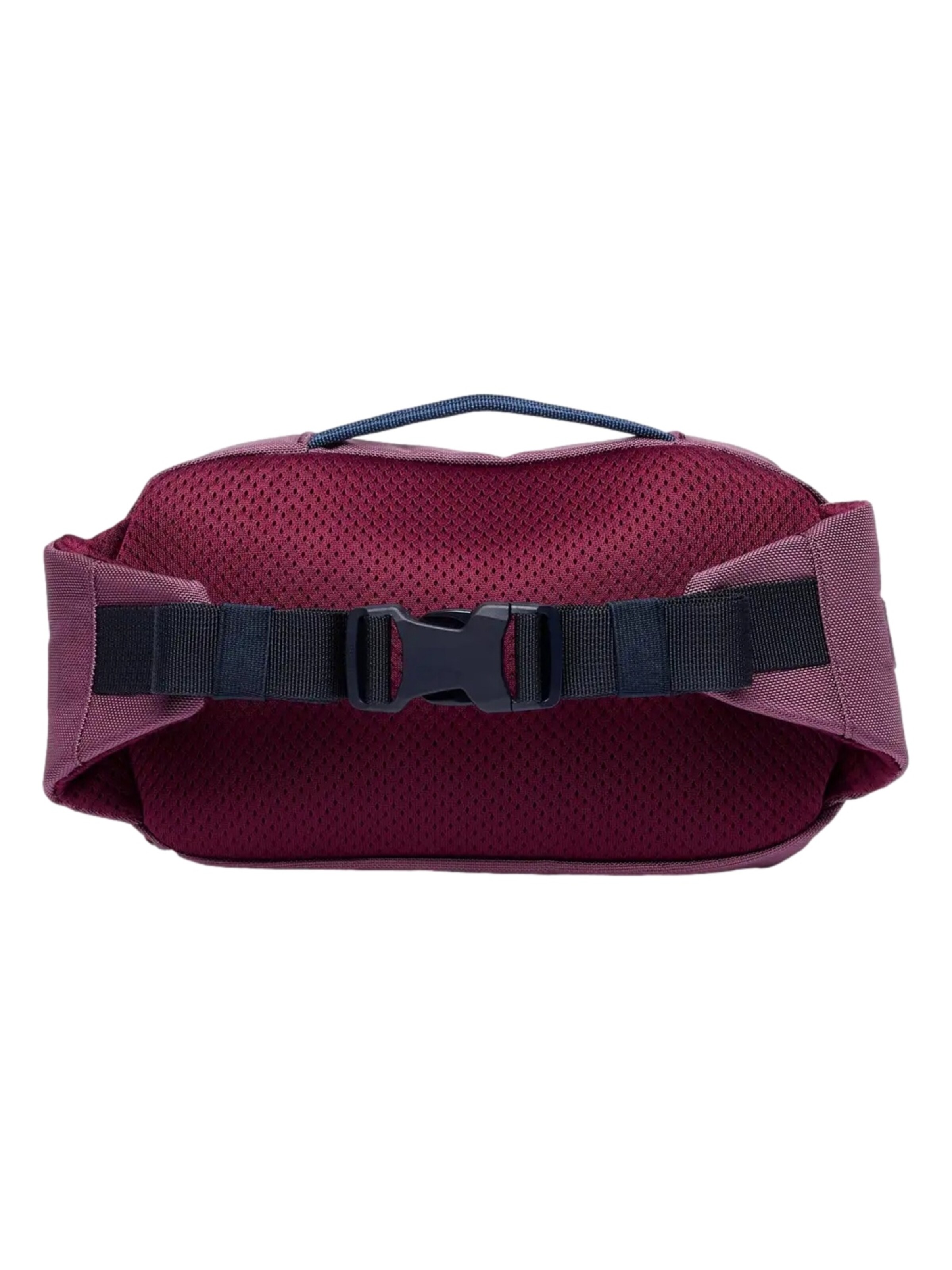 cotopaxi Fanny Pack 'Allpa X' in Pink
