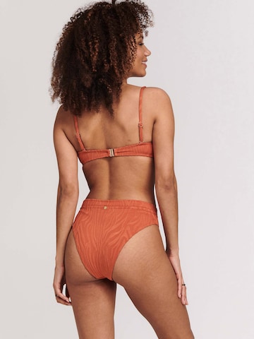 Bandeau Bikini 'LOLA' Shiwi en marron