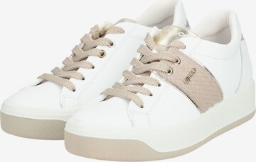 IGI&CO Sneakers in White