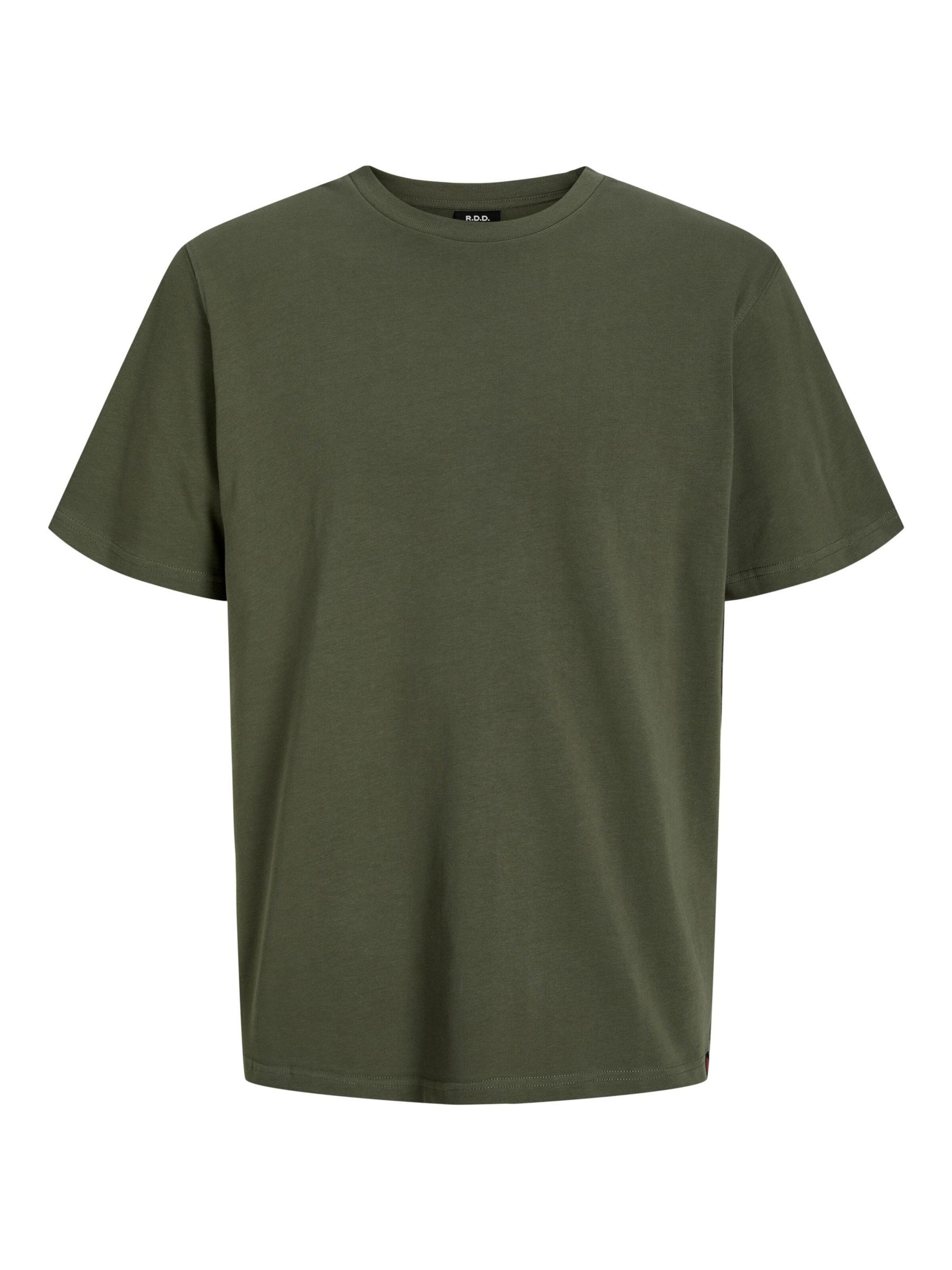 Maglietta di R.D.D. ROYAL DENIM DIVISION in verde: frontale