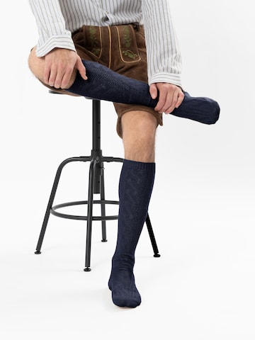 HerzSticht Traditional socks 'Bergdistel' in Blue