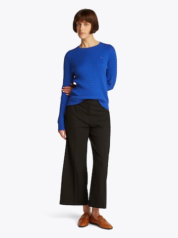TOMMY HILFIGER Trui in Blauw