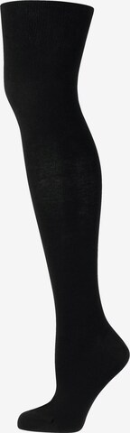 Nur Die Knee High Socks in Black