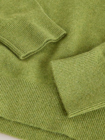 Next Sweater in Green