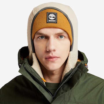 TIMBERLAND Jacke in Grün