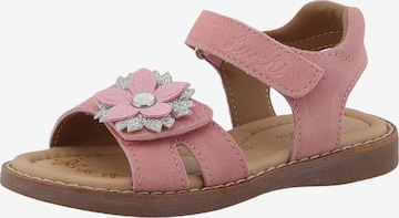 Sandales 'Levinia' LURCHI en rose : devant