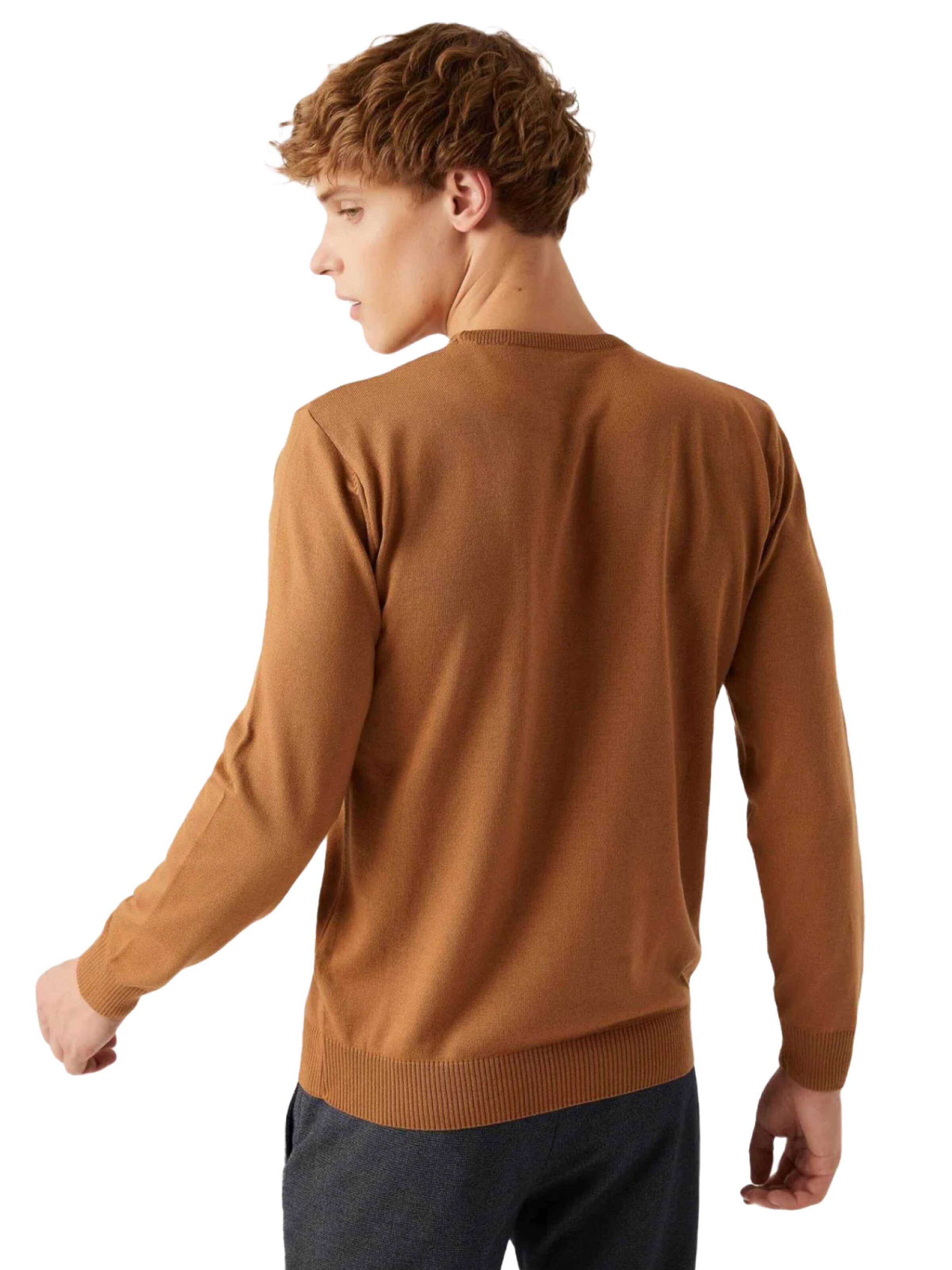 D’S Damat Trui in Bruin