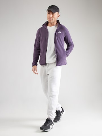 Jachetă  fleece funcțională 'GLACIER' de la THE NORTH FACE pe mov