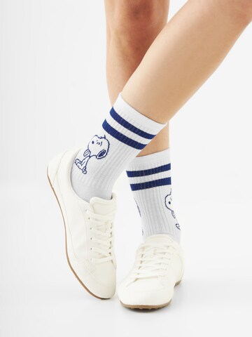 CODELLO Socks in Blue