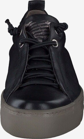 Sneaker bassa di Paul Green in nero