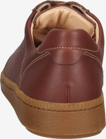 Ganter Lace-Up Shoes in Brown