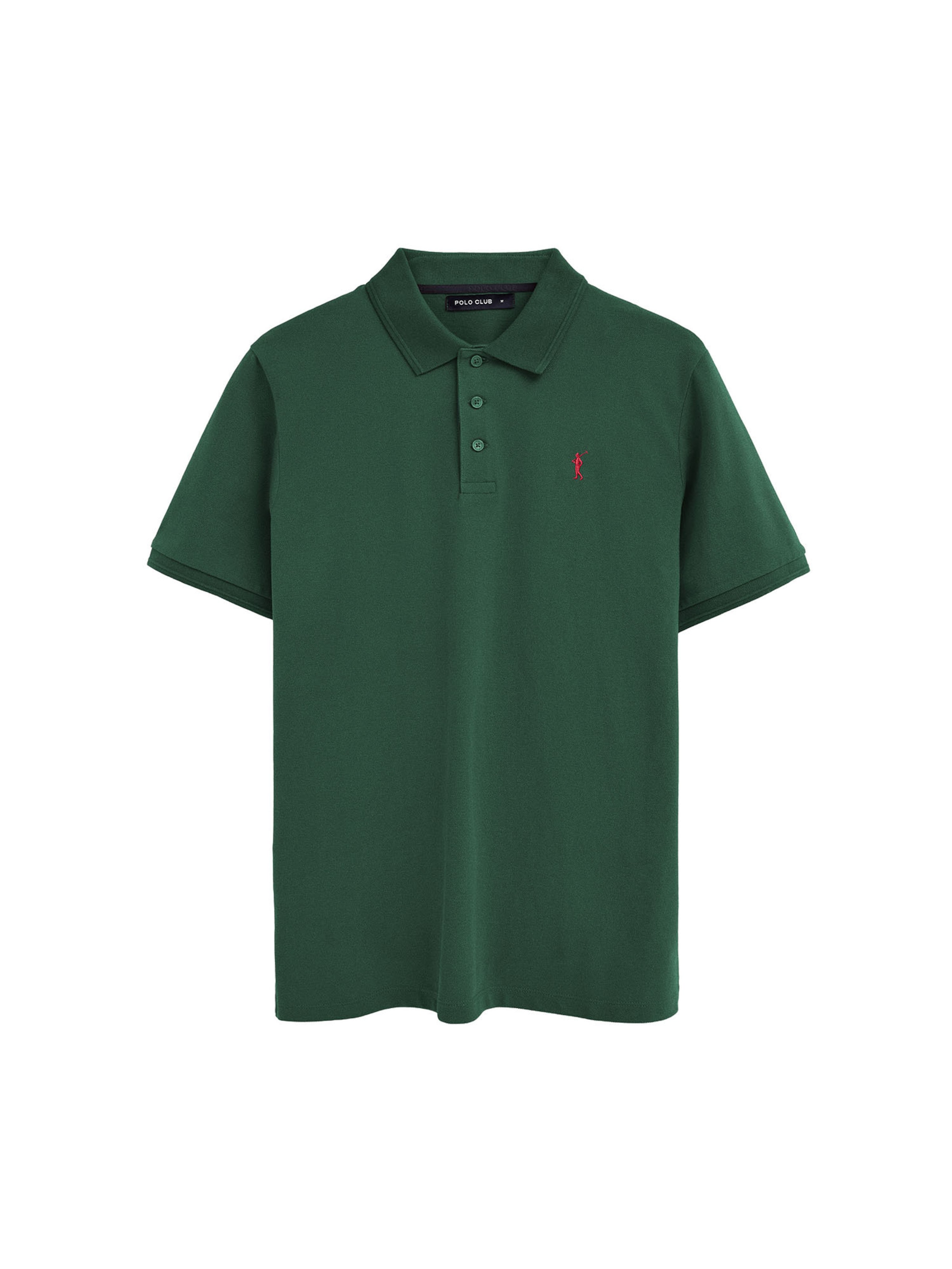 Polo Club Shirt 'Rigby Go' in Green: front