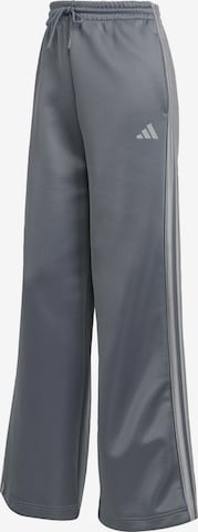 ADIDAS SPORTSWEAR Sporthose 'STADIUM' in Grau: Vorderseite