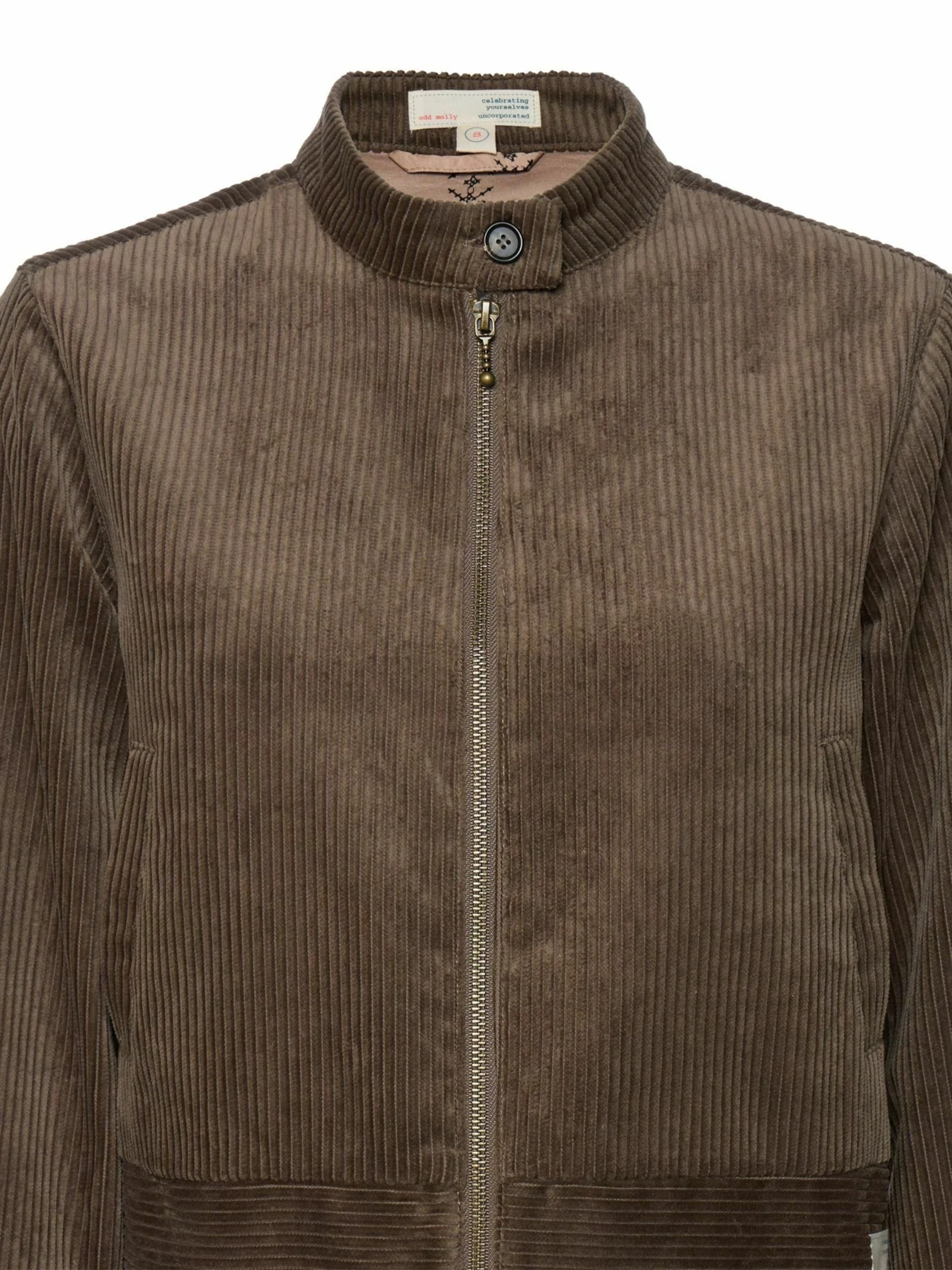 Veste mi-saison 'Nehl' Odd Molly en argent