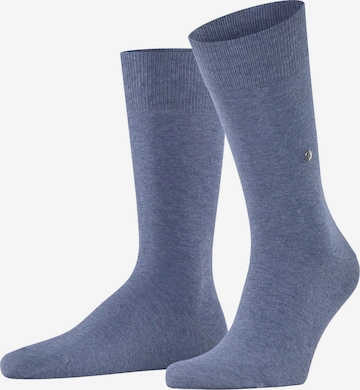 Chaussettes BURLINGTON en bleu : devant