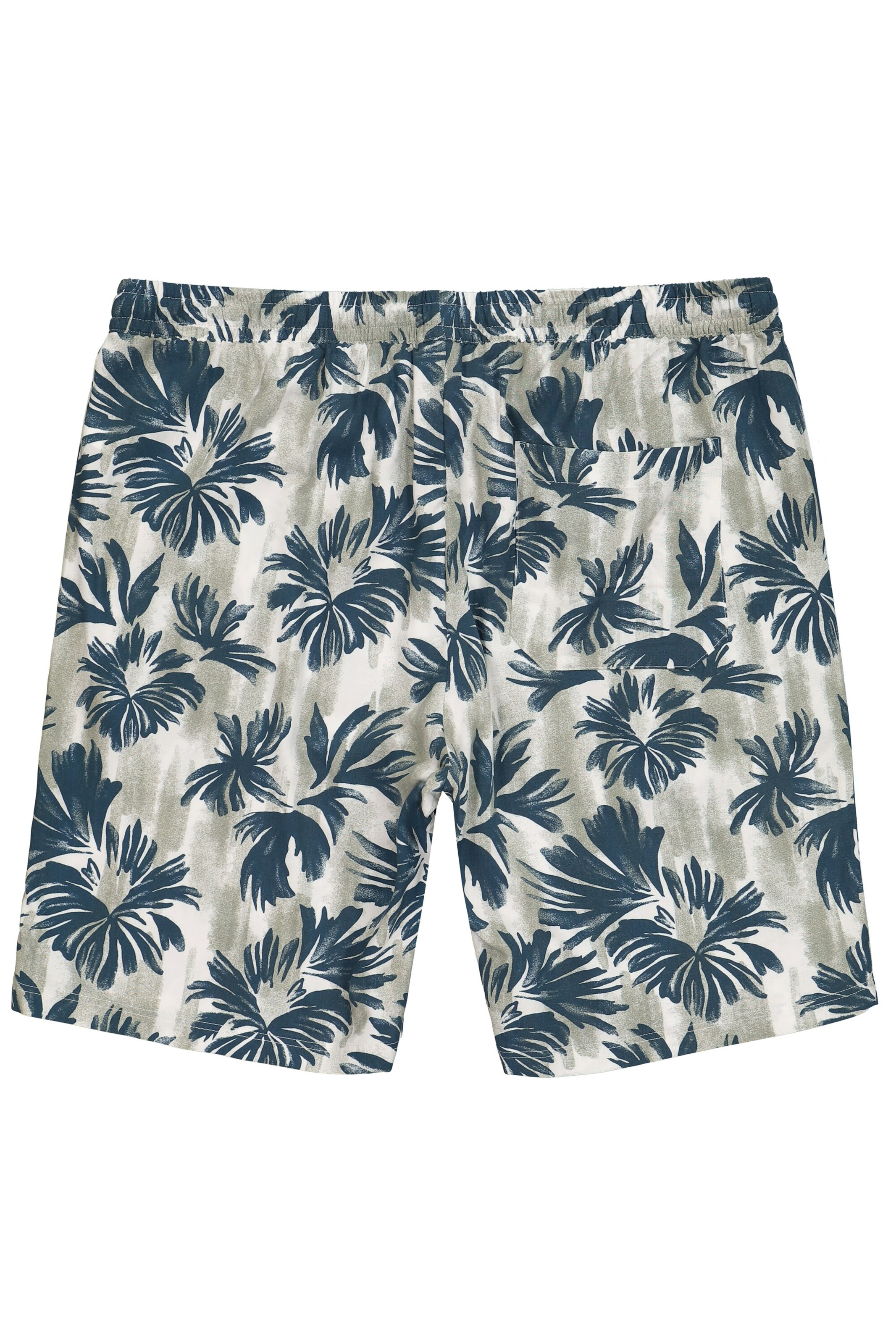 Men Plus Regular Shorts in Grün