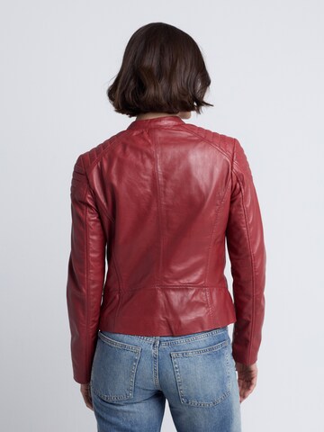 JCC Tussenjas ' 31025193 ' in Rood