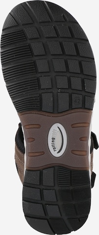 Pius Gabor Sandals in Brown