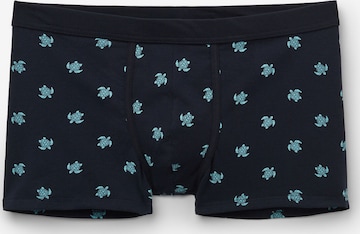 Tezenis Boxer shorts in Blue: front