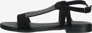 IGI&CO Sandalen met riem in Zwart