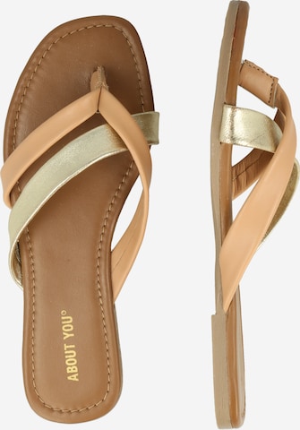 ABOUT YOU T-Bar Sandals 'Noemi' in Beige