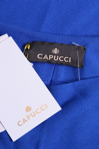 CAPUCCI Pants in XL in Blue