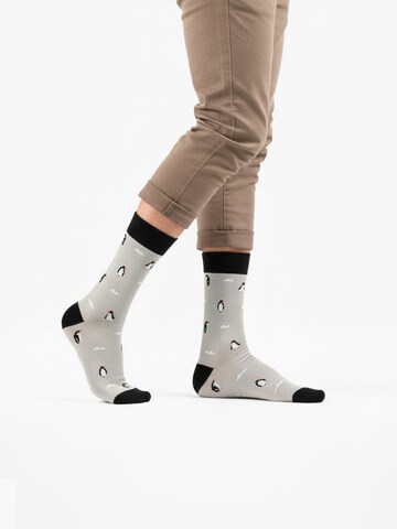 The Arctic Bay - Calcetines 'AUSTRAL EDITION Gift box 4 Pack Unisex' en Mezcla de colores