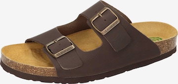 DR. BRINKMANN Pantolette 'BONILLO' in Braun: Vorderseite