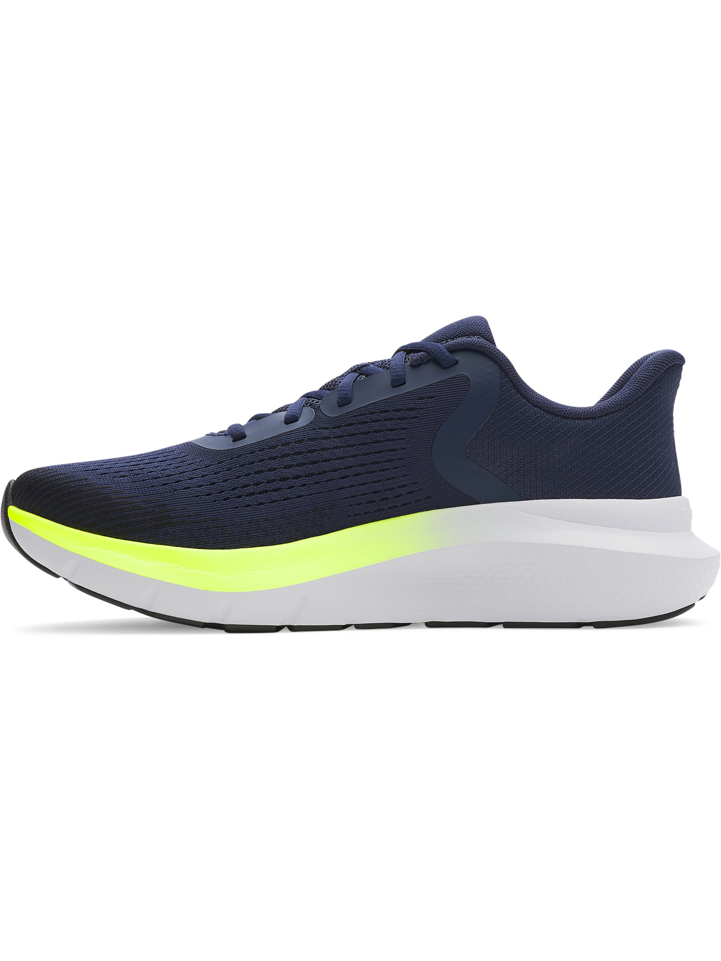 UNDER ARMOUR Loopschoen 'Charged Rogue 5' in Blauw