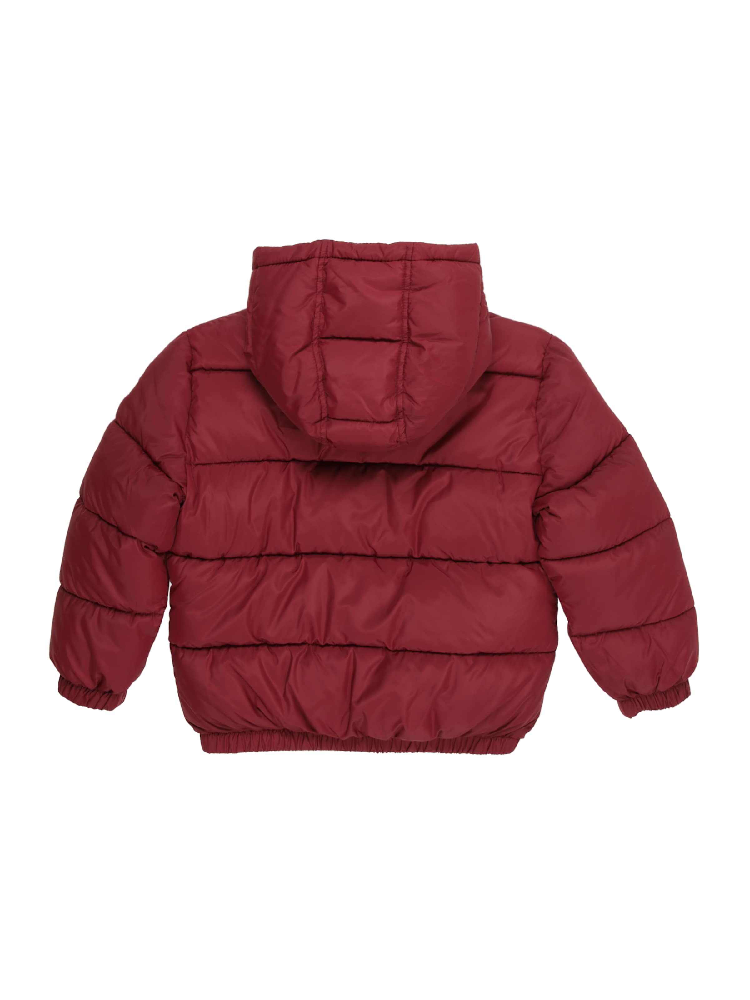 UNITED COLORS OF BENETTON Зимняя куртка в Красный